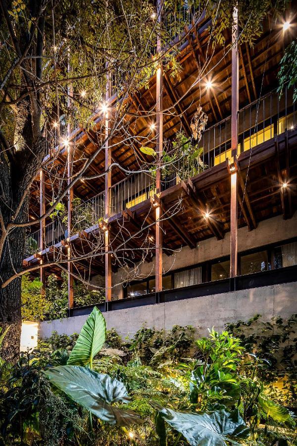 Ana Polanco Apartments เม็กซิโกซิตี้ ภายนอก รูปภาพ